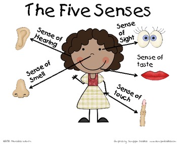 Resultado de imagen de my five senses