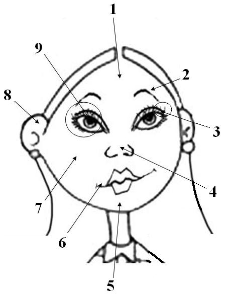 English Exercises: Parts of the body (face)