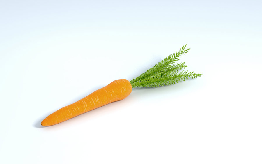 1. is a carrot. 