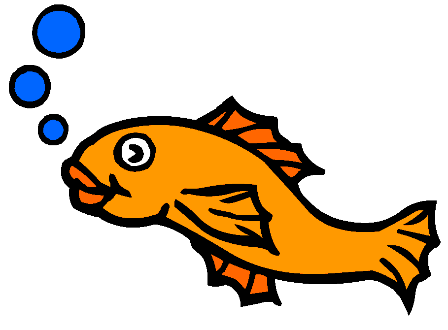 brown bear brown bear what do you see goldfish