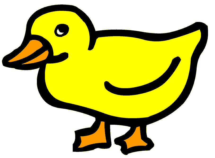 is / The / duck / yellow.