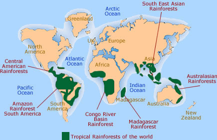 Free Rainforest Map Ks2 Reference Sheet Teacher Made