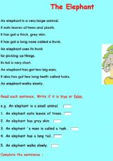 Elephant Poem - ESL worksheet by sianwilliams7@live.co.uk