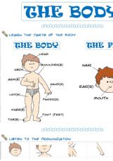English exercises: the body